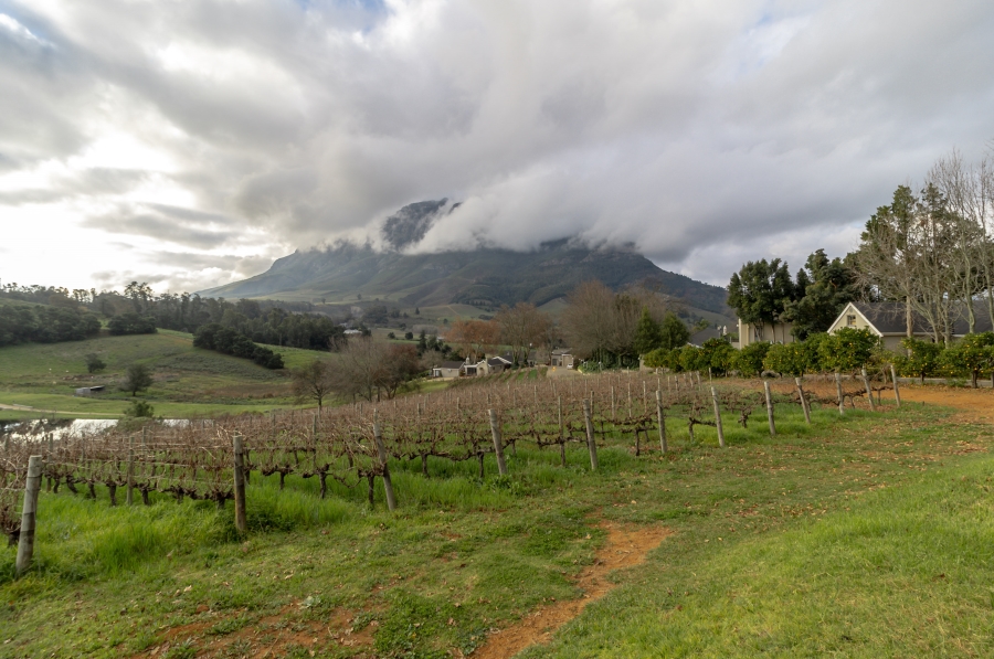 To Let 3 Bedroom Property for Rent in Stellenbosch Farms Western Cape